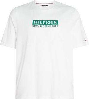 Tommy Hilfiger Big & Tall Tričko  zelená / biela