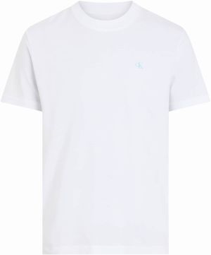 Calvin Klein Jeans Tričko  nefritová / biela