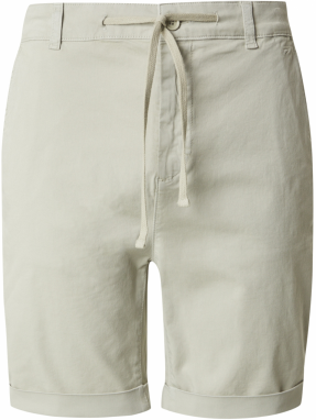 DAN FOX APPAREL Chino nohavice 'Janne'  pastelovo zelená