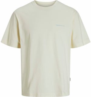 JACK & JONES Tričko 'JORPAROS EASTER'  azúrová / šedobiela