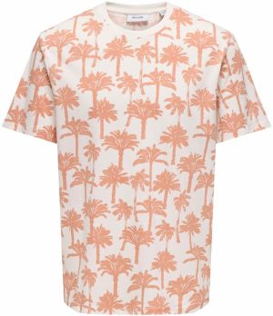 Only & Sons Tričko 'ONSKYLEN'  mandarínková / šedobiela