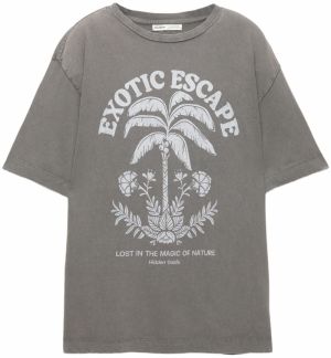 Pull&Bear Tričko  sivá / biela