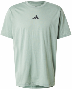 ADIDAS PERFORMANCE Funkčné tričko  antracitová / pastelovo zelená