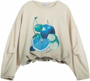Desigual Mikina 'Fruit'  kráľovská modrá / tmavomodrá / sivobéžová / smaragdová