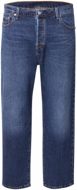 Levi's® Plus Džínsy '501'  indigo