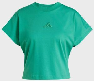 ADIDAS SPORTSWEAR Funkčné tričko 'ALL SZN'  zelená