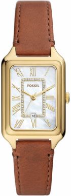 FOSSIL Analógové hodinky 'Raquel'  hnedá / zlatá