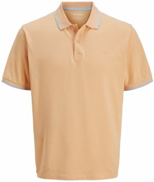 JJ Rebel Tričko  sivá / marhuľová
