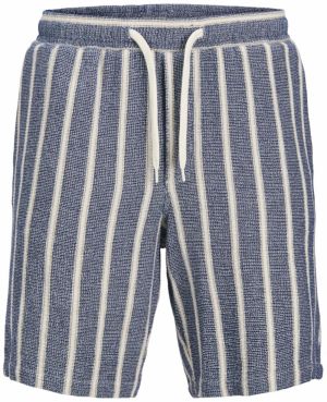 JACK & JONES Nohavice 'JPSTJAiden'  nebielená / námornícka modrá / biela