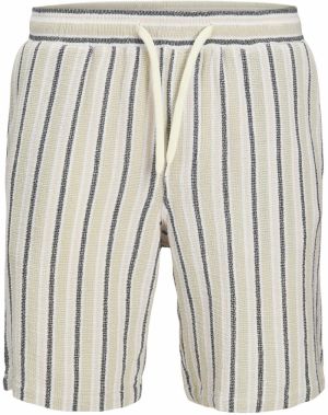 Jack & Jones Plus Nohavice 'JPSTJAIDEN'  krémová / pastelovo zelená / čierna / biela