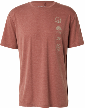 QUIKSILVER Funkčné tričko 'COASTAL'  hrdzavohnedá / sivobéžová