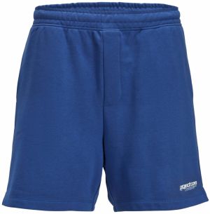 JACK & JONES Nohavice 'JPSTKarl Union'  kobaltovomodrá