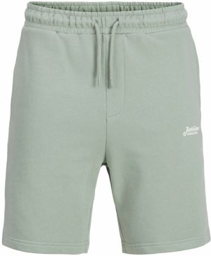JACK & JONES Nohavice 'JPSTGORDON'  svetlozelená