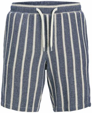 Jack & Jones Plus Nohavice 'Aiden Coba'  modrá / prírodná biela