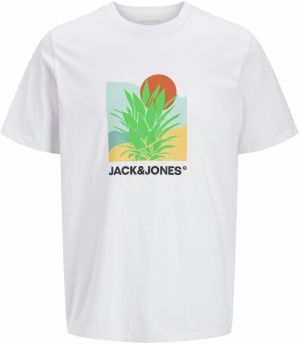 Jack & Jones Plus Tričko 'JJBARBADOS'  trávovo zelená / hrdzavo červená / biela