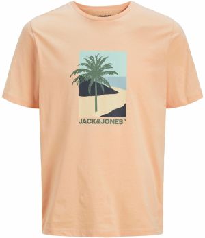 Jack & Jones Plus Tričko 'JJBARBADOS'  svetlomodrá / antracitová / jedľová / marhuľová