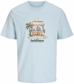 Jack & Jones Plus Tričko 'JORSKULL COAST'  svetlomodrá / olivová / marhuľová / biela