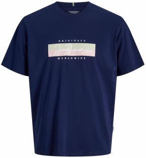 Jack & Jones Plus Tričko 'JORFREDERIKSBERG'  námornícka modrá / pastelovo zelená / rosé / biela