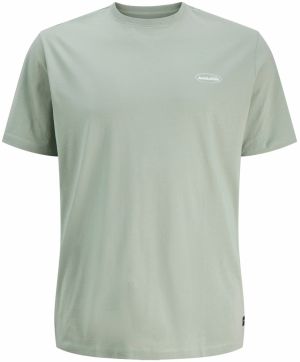Jack & Jones Plus Tričko 'JJENoa'  pastelovo zelená / biela