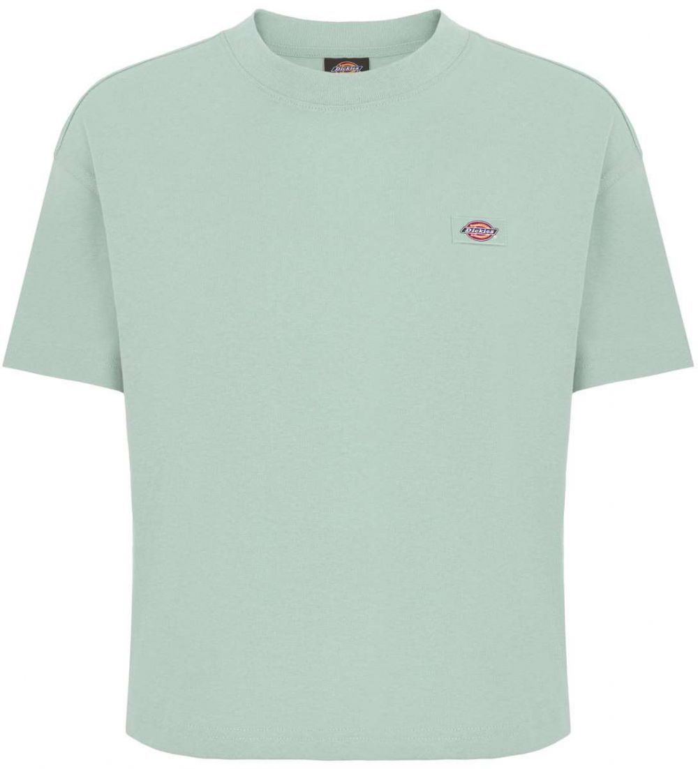 DICKIES Tričko 'OAKPORT'  svetlozelená