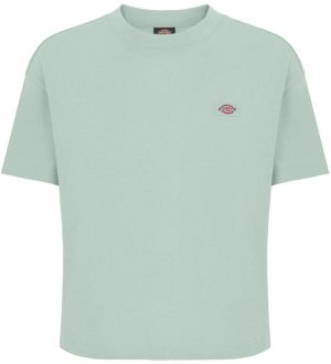 DICKIES Tričko 'OAKPORT'  svetlozelená