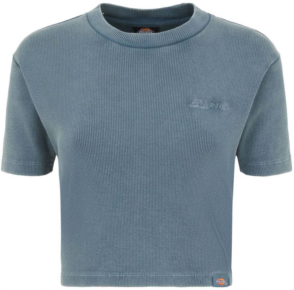 DICKIES Tričko 'PLENTYWOOD'  dymovo modrá