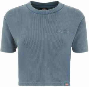 DICKIES Tričko 'PLENTYWOOD'  dymovo modrá