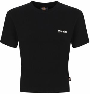DICKIES Tričko 'LEWISTOWN'  čierna
