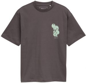 TOM TAILOR DENIM Tričko  sivá / zelená