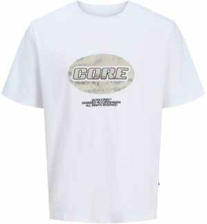 Jack & Jones Plus Tričko 'JCOLIDO'  svetlosivá / čierna / biela