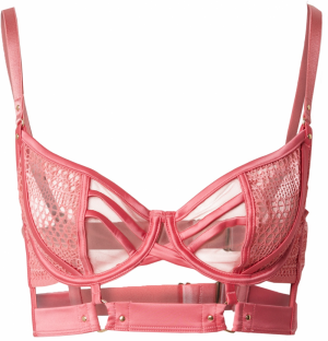 Hunkemöller Podprsenka 'Missy Uf'  svetloružová