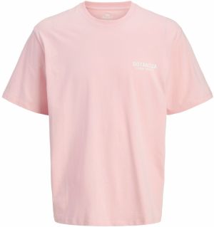 JACK & JONES Tričko 'JORBotaniq'  tmavožltá / homárová / ružová / biela