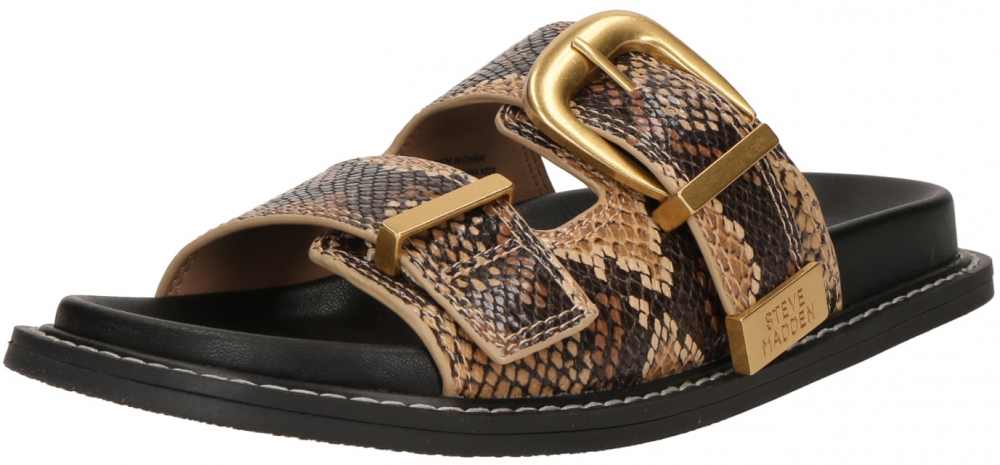 STEVE MADDEN Šľapky 'Arch-E'  hnedá / svetlohnedá / čierna