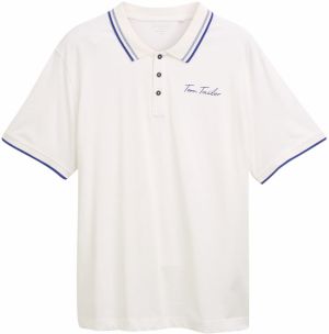 TOM TAILOR Men + Tričko  modrá / šedobiela