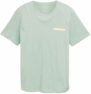 TOM TAILOR DENIM Tričko  svetlobéžová / pastelovo zelená