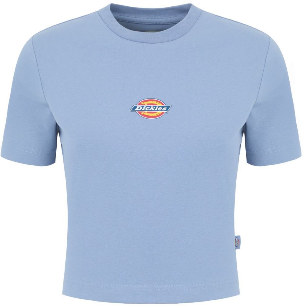 DICKIES Tričko 'Maple Valley'  modrosivá / žltá / červená