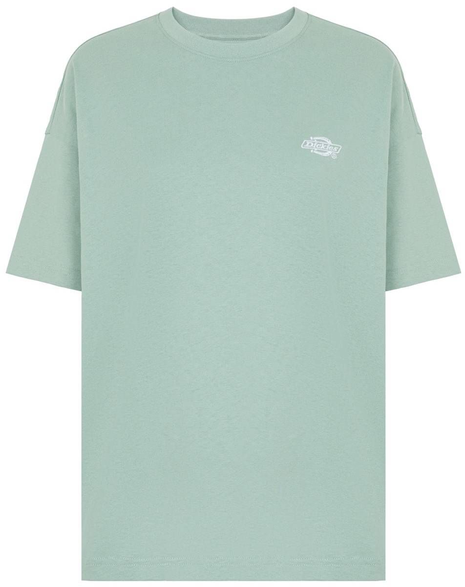 DICKIES Tričko 'Summerdale'  zelená