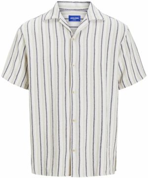 JACK & JONES Košeľa 'JORCOBA'  tmavosivá / pastelovo zelená / biela