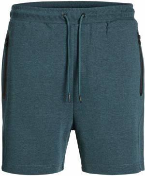 JACK & JONES Nohavice 'JPSTGordon'  tmavomodrá