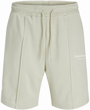 JACK & JONES Nohavice 'JPSTKane JJVesterbro'  pastelovo zelená / biela