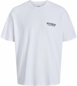 JACK & JONES Tričko 'JORBOTANIQ'  olivová / jedľová / čierna / biela