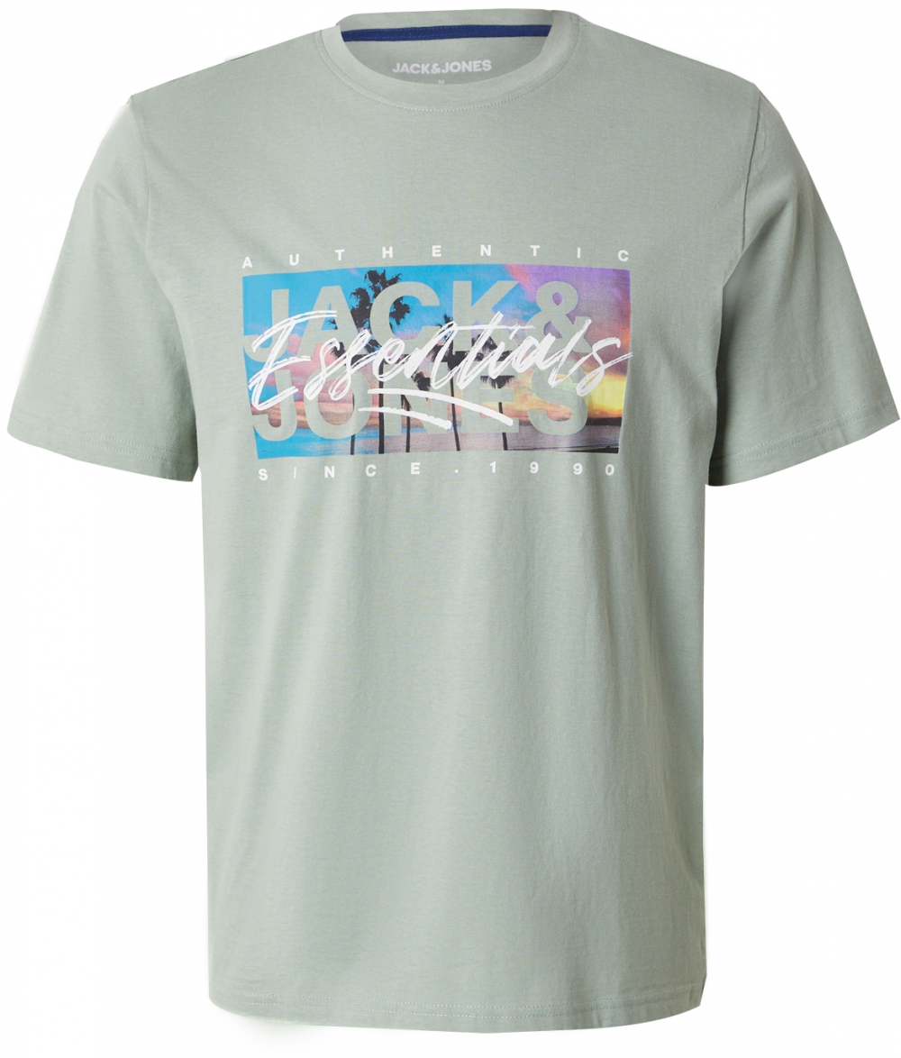 JACK & JONES Tričko 'JJCOLTON'  modrá / pastelovo zelená / fialová / biela