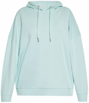 usha BLUE LABEL Mikina  mätová