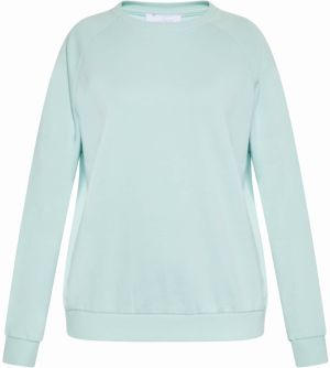 usha BLUE LABEL Mikina  mätová