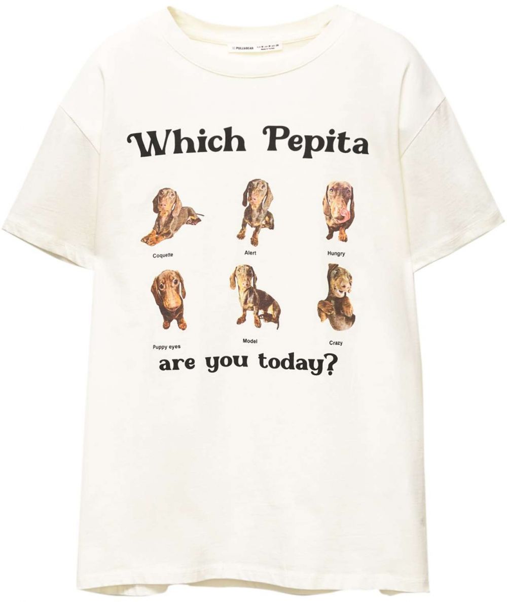 Pull&Bear Tričko  nebielená / hnedá / hnedá / čierna