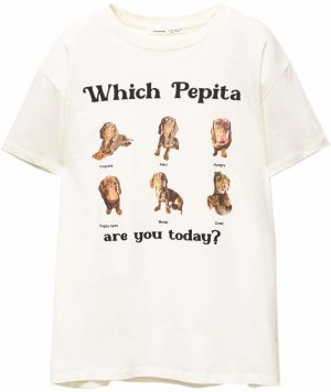 Pull&Bear Tričko  nebielená / hnedá / hnedá / čierna