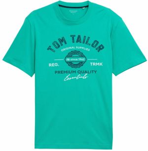 TOM TAILOR Tričko  svetlozelená / tmavozelená / biela
