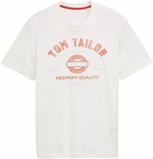 TOM TAILOR Tričko  svetlomodrá / hrdzavo červená / šedobiela