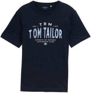 TOM TAILOR Tričko  námornícka modrá / svetlomodrá / biela