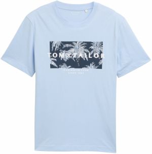 TOM TAILOR Tričko  námornícka modrá / svetlomodrá / biela